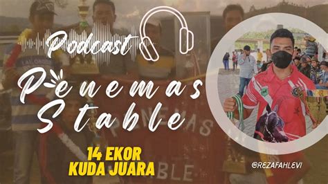 Podcast 14 Ekor Kuda Juara Kiprah Penemas Stable Di Pacuan Kuda