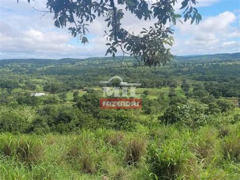 Fazenda De Alqueires Hectares Em Goi S Velho Go Terrenos