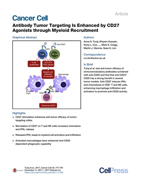 Pdf Antibody Tumor Targeting Is Enhanced By Cd Agonists Through