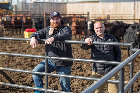 Usask Livestock Researchers Awarded Nearly M To Improve Food