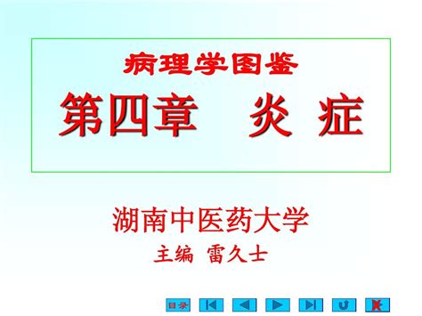 03炎症word文档在线阅读与下载无忧文档