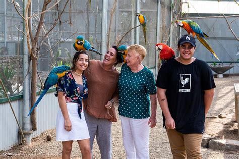 Maleny Botanic Gardens Dan Tiket Dunia Burung Klook Indonesia