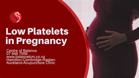 Low Platelets In Pregnancy Best Acupuncture Hamilton Nz