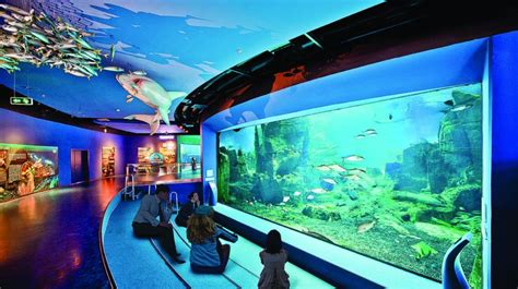 Aquarium And Aqua Florya Shopping Mall Tour Istanbul Travelshop Booking