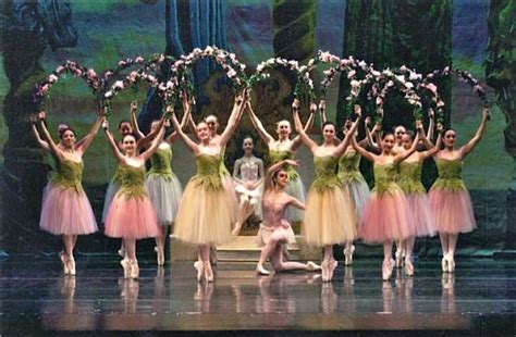 ballet | Nutcracker ballet costumes, Ballet costumes, Nutcracker costumes