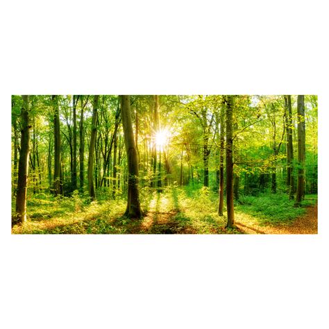 Sonne Wald Landschaft VLIES ECKE FOTO TAPETE 3D WANDTAPETEN XXXL