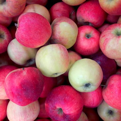 13 Heirloom Apple Varieties for the Perfect Pie