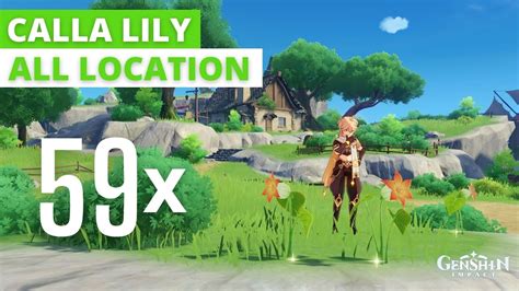 Genshin Impact 59x Calla Lily Location Fast And Efficient Detailed Map Included Youtube