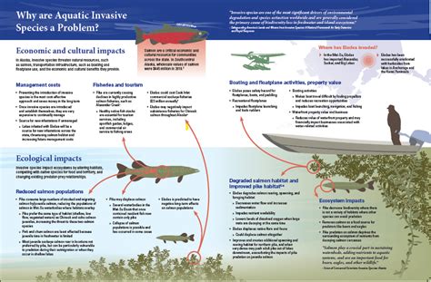 Aquatic Invasive Species