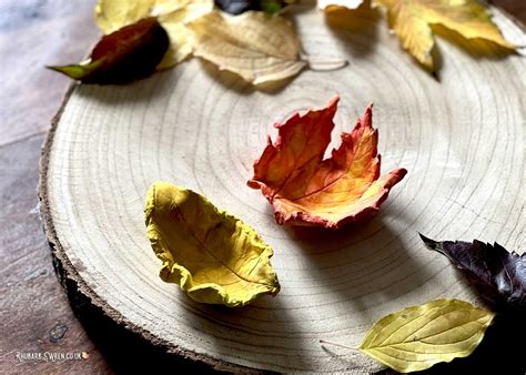 How To Make Beautiful Air Dry Clay Leaf Bowls Rhubarb And Wren