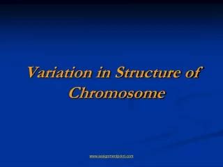 PPT Chapter 6 Variation In Chromosome Structure And Number PowerPoint