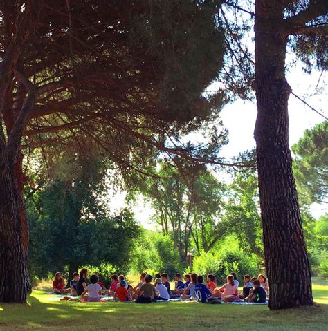 Campamentos De Verano Aula Joven Aula Joven