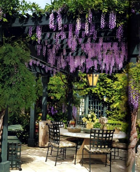 Garden Pergola Photos - Everything About Garden