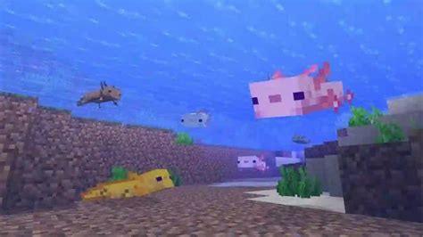 L Nh Minecraft Tri U H I Full S M S T Pokemon Ender Axolotl L Ng