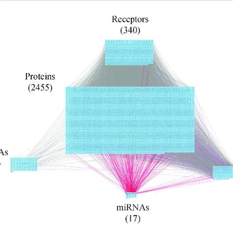 Core Genome Wide Genetic And Epigenetic Network GWGEN Of