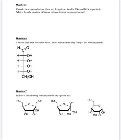 Solved Questions Consider The Monosaccharides Ribose And Chegg