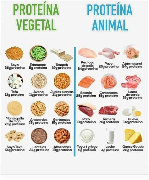 Exemplos De Proteinas Animal E Vegetal Exemplo Recente