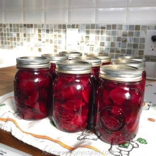 How To Freeze Beets For Winter In 3 Easy Ways Northern Homestead