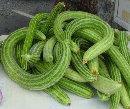 Armenian Cucumber – Mary's Heirloom Seeds