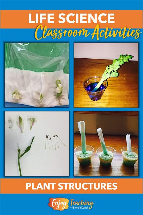 Teaching Life Science - Hands-on Activities & Projects