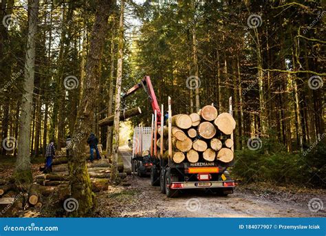 Crane In Forest Loading Logs In The Truck Timber Harvesting And