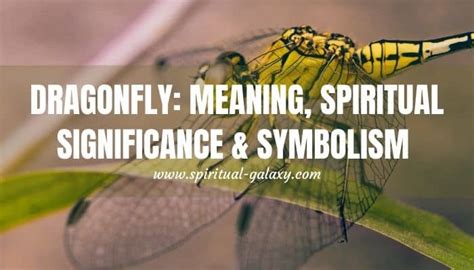 Dragonfly Spiritual Meaning, Symbolism & Significance - Spiritual-Galaxy.com