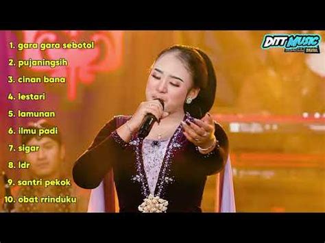 Niken Salindri Gara Gara Sebotol Minuman L Kembar Music Full Album