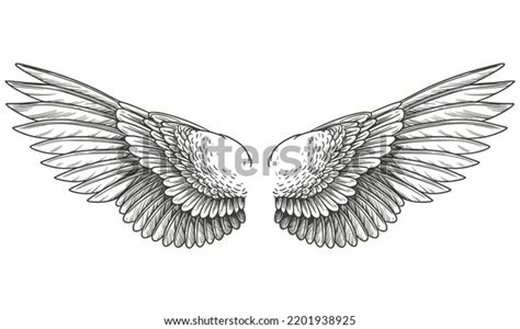 Vintage Vector Illustration Angel Wings Stock Vector (Royalty Free ...