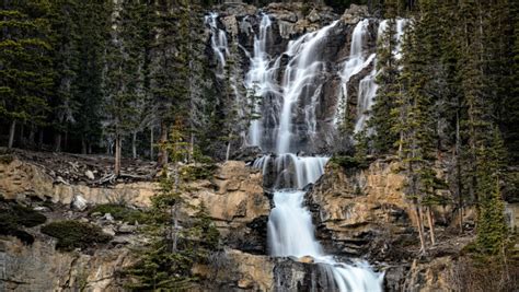 Alberta WaterPortal May And June Roundup Alberta WaterPortal