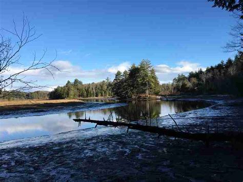 Tarbox Preserve Brunswick Topsham Land Trust