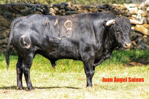 Estos Son Los Toros De Rancho Seco Para La De La Feria De Tlaxcala