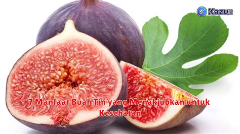 7 Manfaat Buah Tin Yang Menakjubkan Untuk Kesehatan Life Style