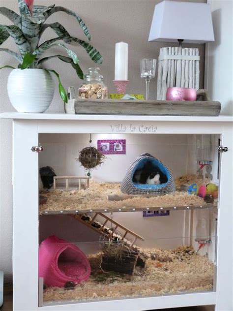 20 Homemade DIY Guinea Pig Cage Ideas