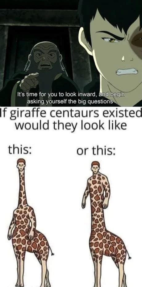 The Best Giraffe Memes Memedroid