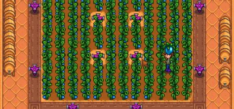 Stardew Valley Best Crops To Grow In The Greenhouse