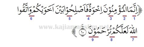 Detail Tajwid Surat Al Hujurat Ayat Koleksi Nomer