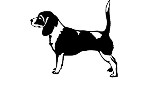 Beagle Hunting Dog Bird Clip Art, PNG, 736x440px, Beagle, Art - Clip Art Library