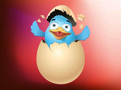 Bird In Egg Vector Art And Graphics