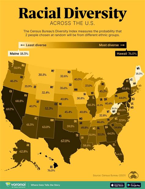 Visualizing Racial Diversity Across All Us States The Burning Platform