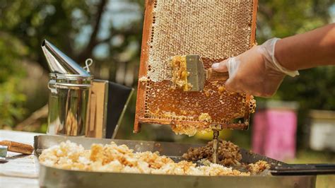 How to Extract Honey - Bee Well Honey