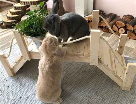 How To Make An Awesome Bunny Enclosure Read More Best Rabbit