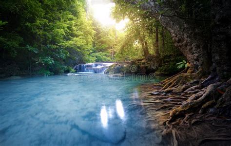 Clean Water River Stream Flows Through Lush Forest Beautiful Su Stock