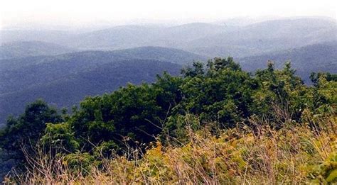 Kiamichi Mountains, OK. | Mountains, Places of interest, Nice view