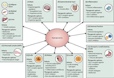 Type 2 Diabetes The Lancet