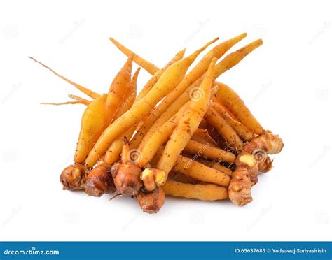 Whole Rhizome Finger Root On White Stock Image Image Of Texture Plant 65637685