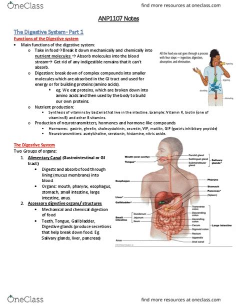 ANP 1107 Lecture 1 ANP1107 Notes Midterm 1 OneClass