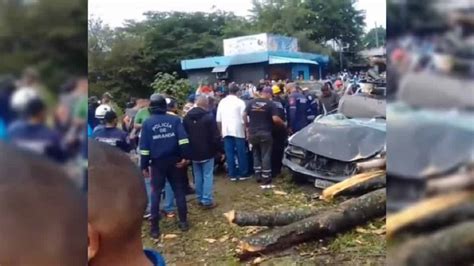 Al menos un muerto y varios heridos tras desplome de un árbol Qué Pasa