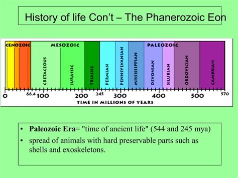 PPT - History of life Con t The Phanerozoic Eon PowerPoint Presentation ...