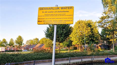 Botulisme En Blauwalg In Het Water