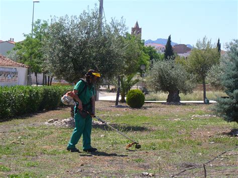 Taller De Empleo Hornachuelos Trabajos De Jardiner A En Palomas Y